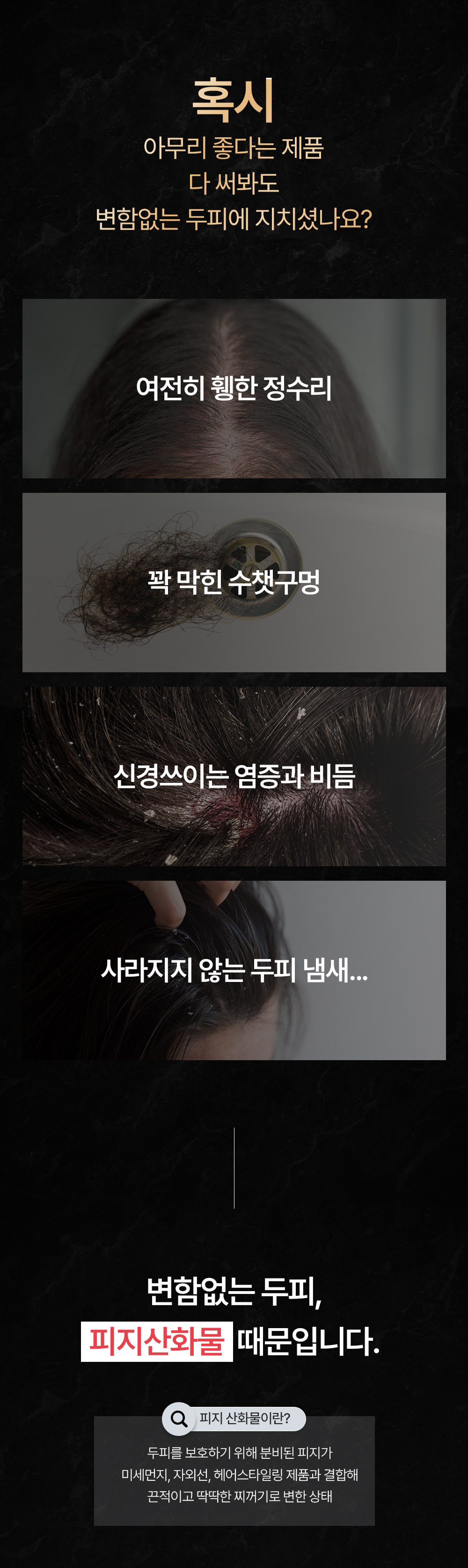 포셰리 비울 두피스케일러