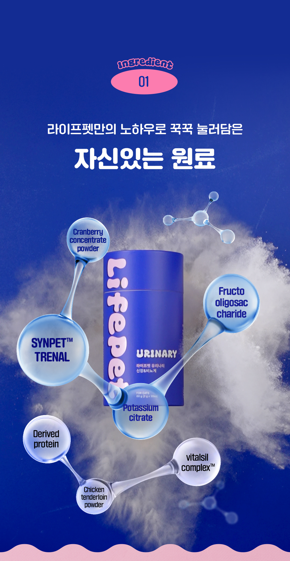 라이프펫 유리나리 고양이 신장영양제 30포