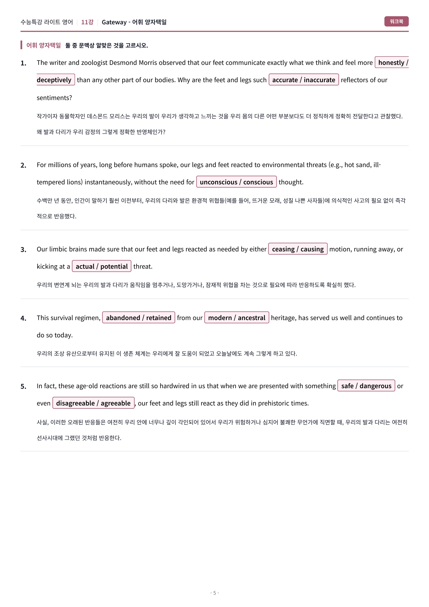 🩷[11강] 워크북 [2026 수특라이트 영어]🩷
