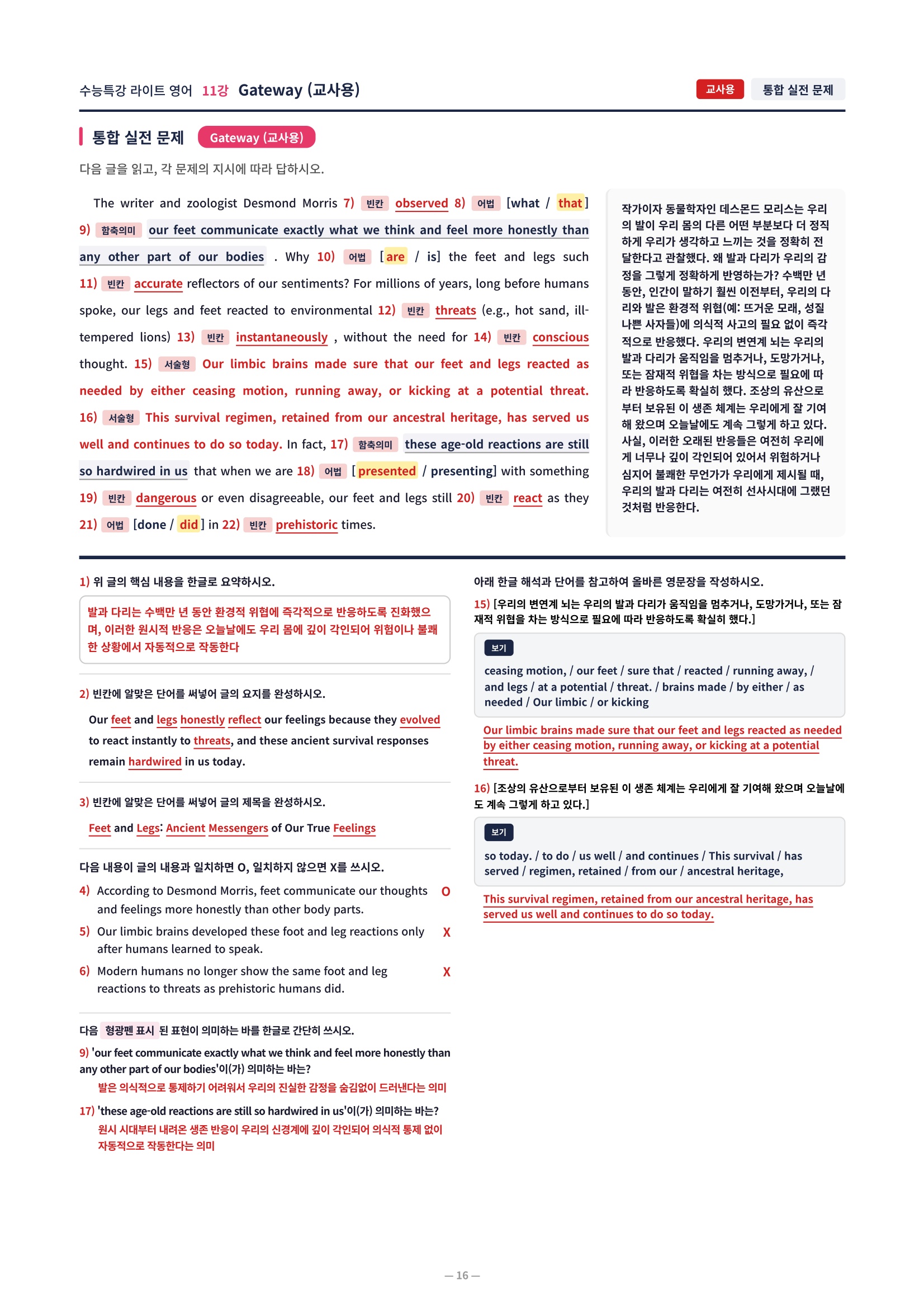 ❤️[11강] 수특라이트 영어 [직전보강+삽화+통합문제]❤️