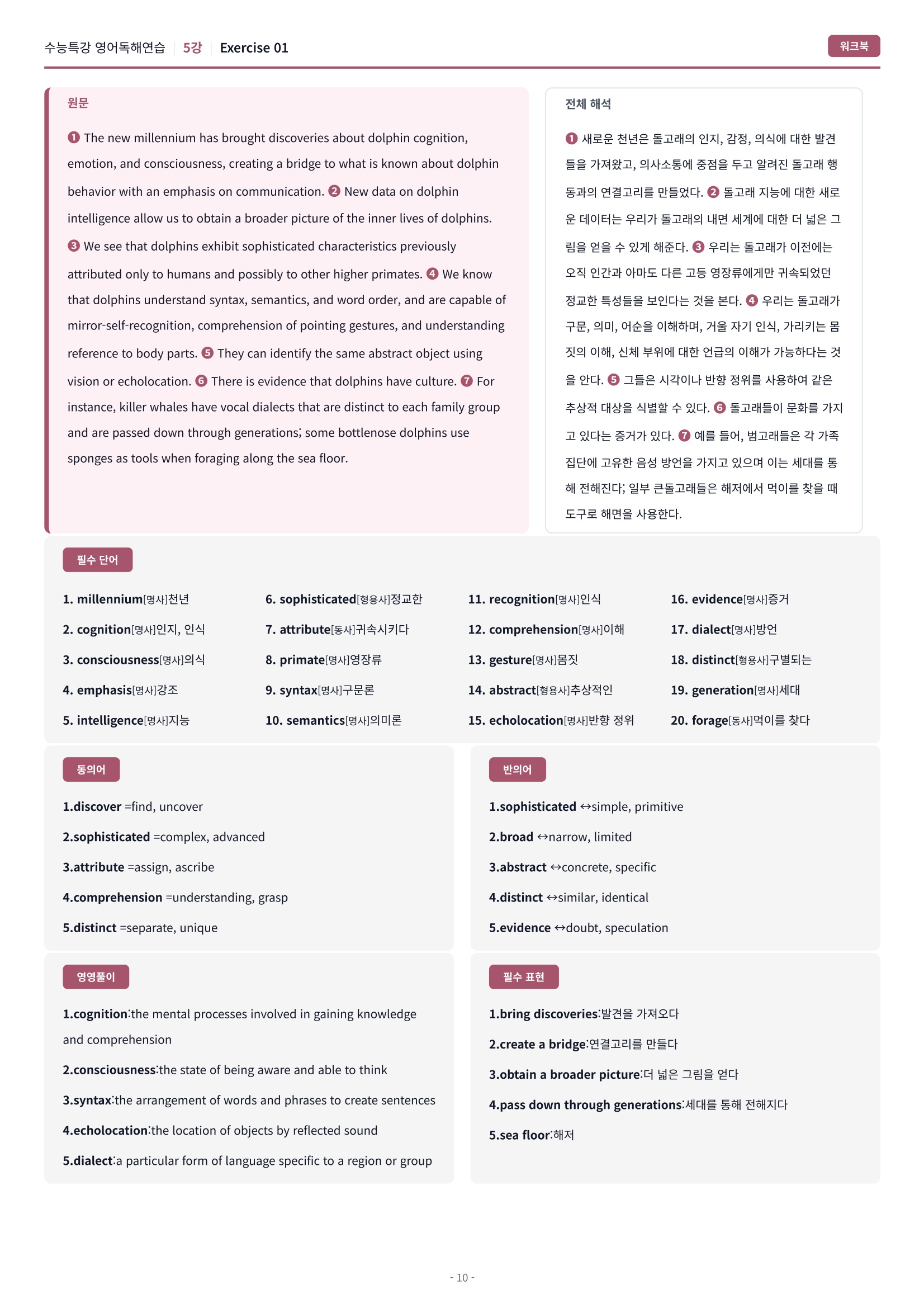 🩷[5강] 워크북 [2027 수능특강 영어독해연습]🩷