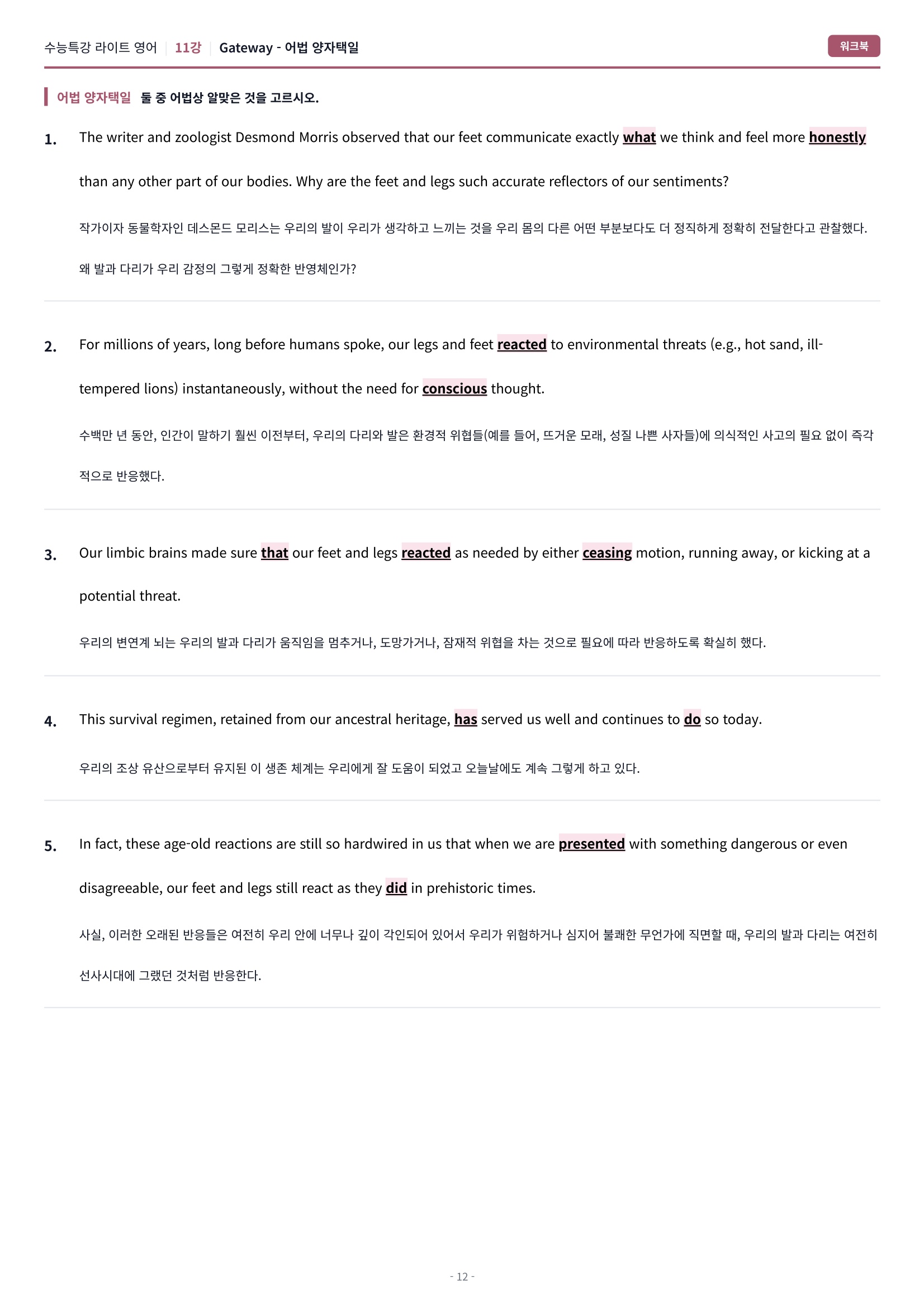 🩷[11강] 워크북 [2026 수특라이트 영어]🩷