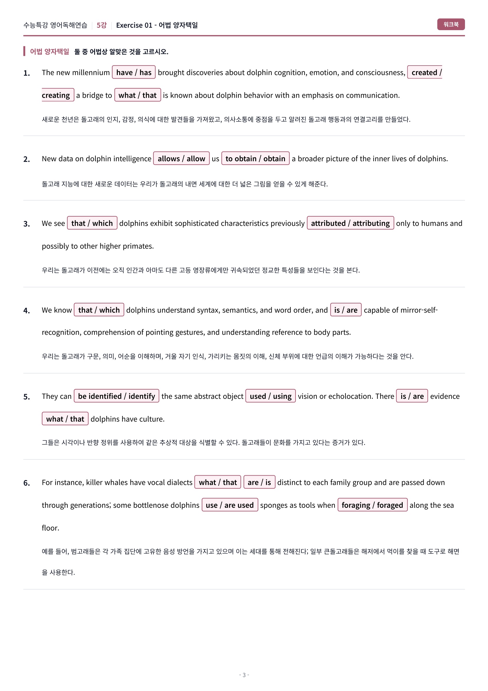 🩷[5강] 워크북 [2027 수능특강 영어독해연습]🩷