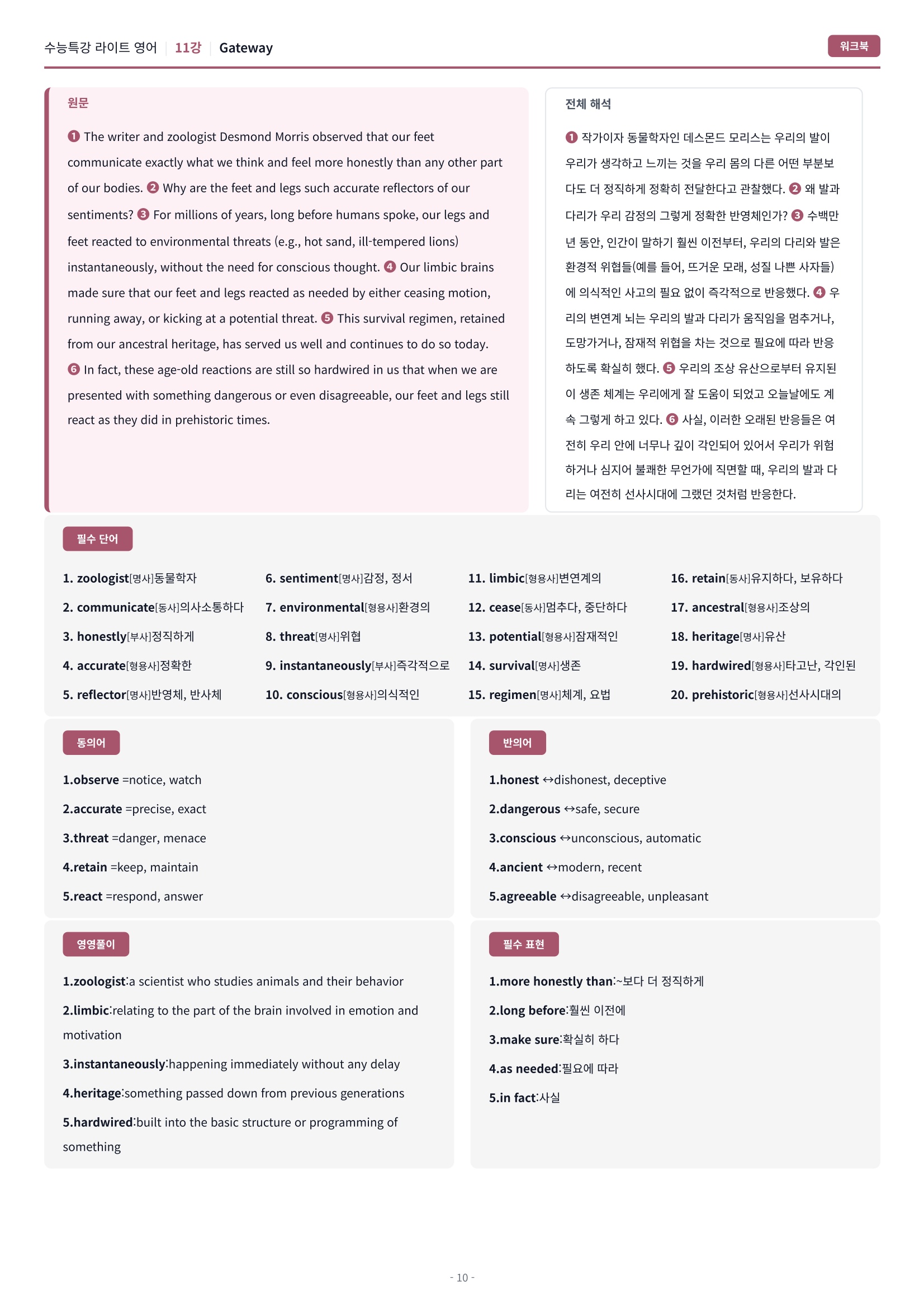 🩷[11강] 워크북 [2026 수특라이트 영어]🩷