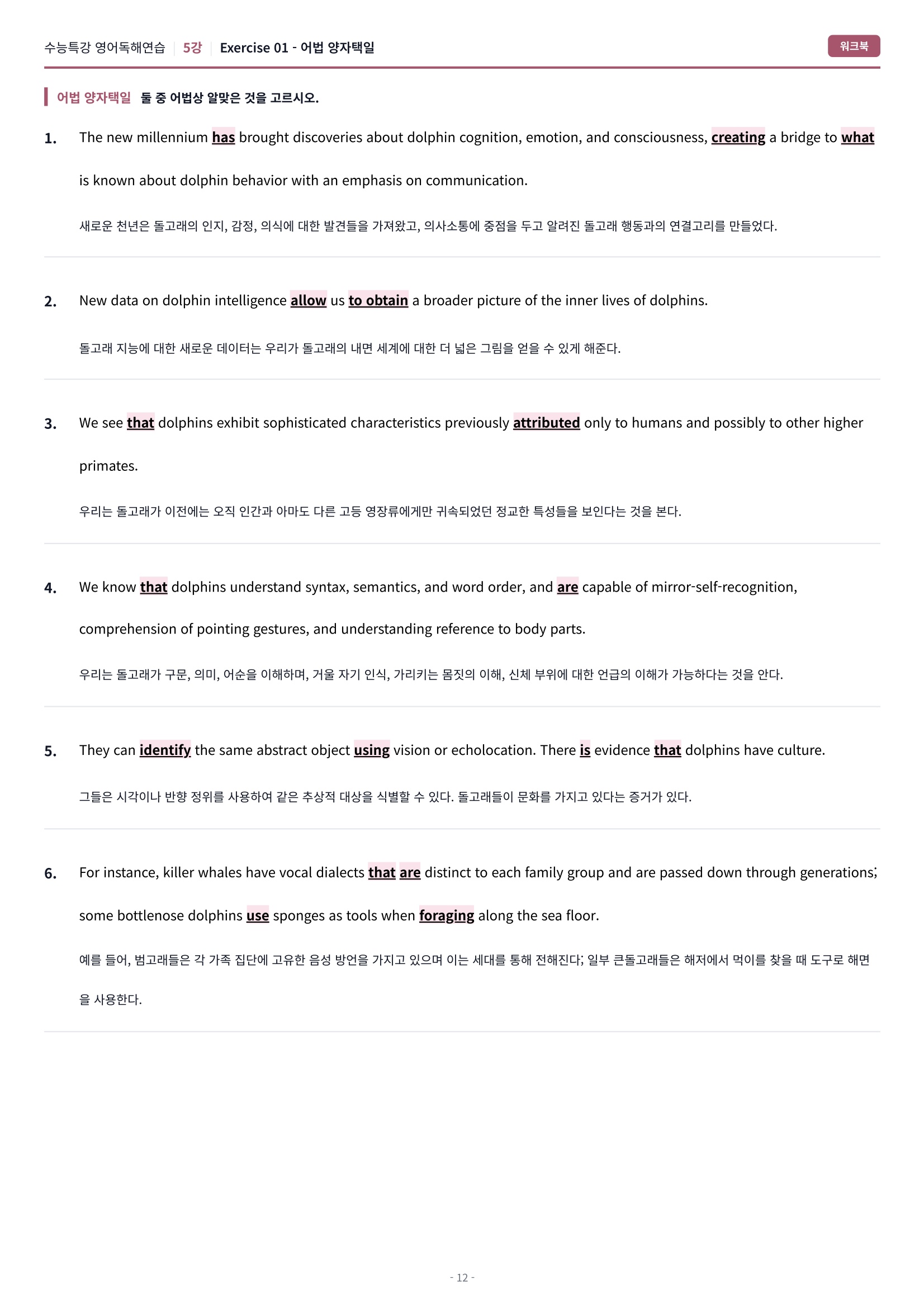 🩷[5강] 워크북 [2027 수능특강 영어독해연습]🩷