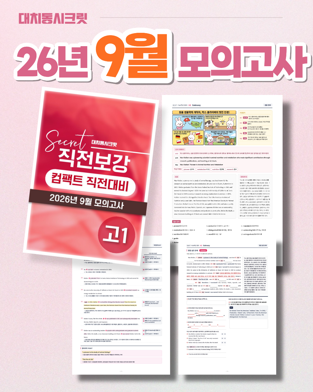 f2e426043a25d.png