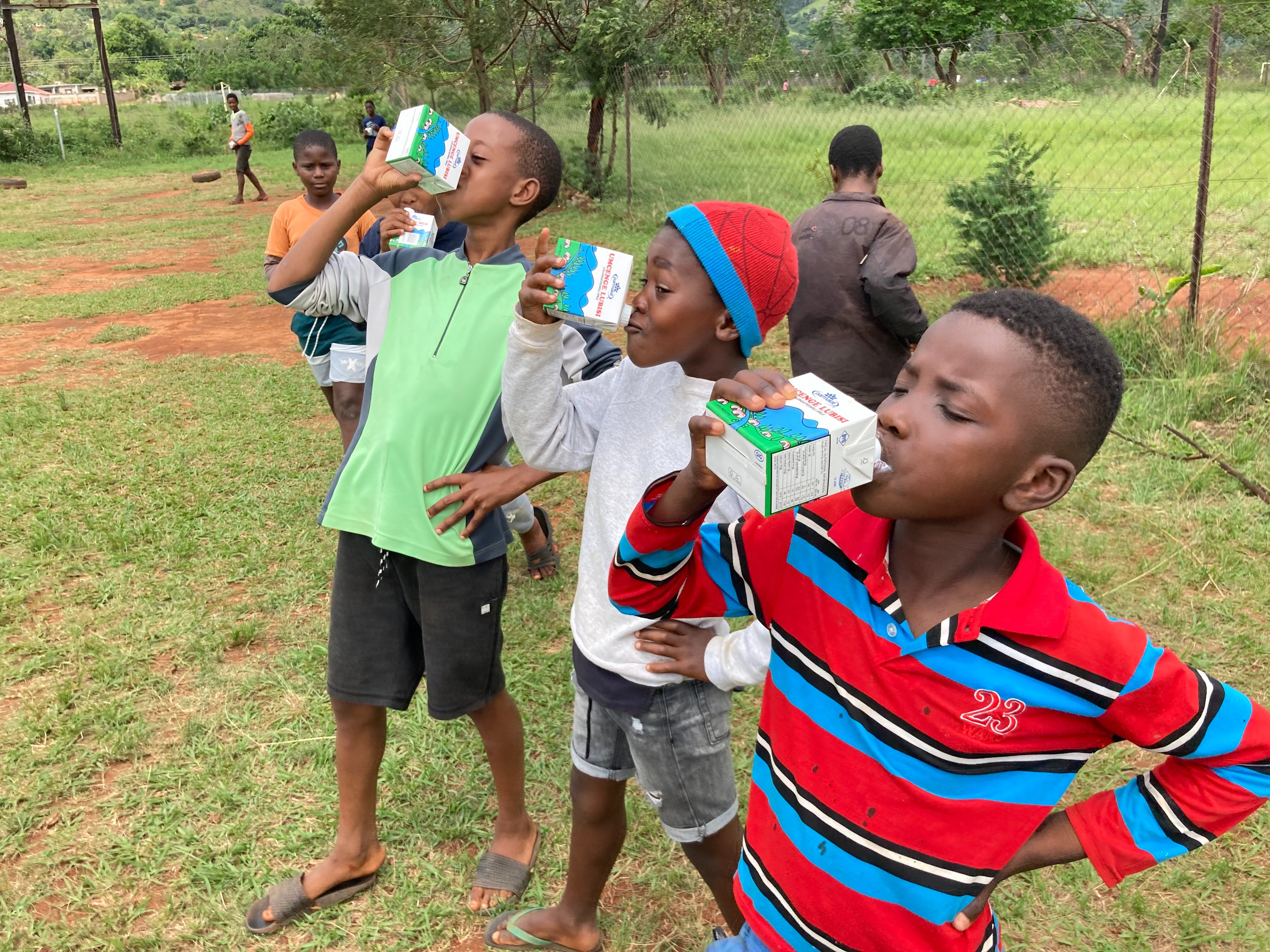 1637264408658_6.jpg 1637264408658_6.jpg