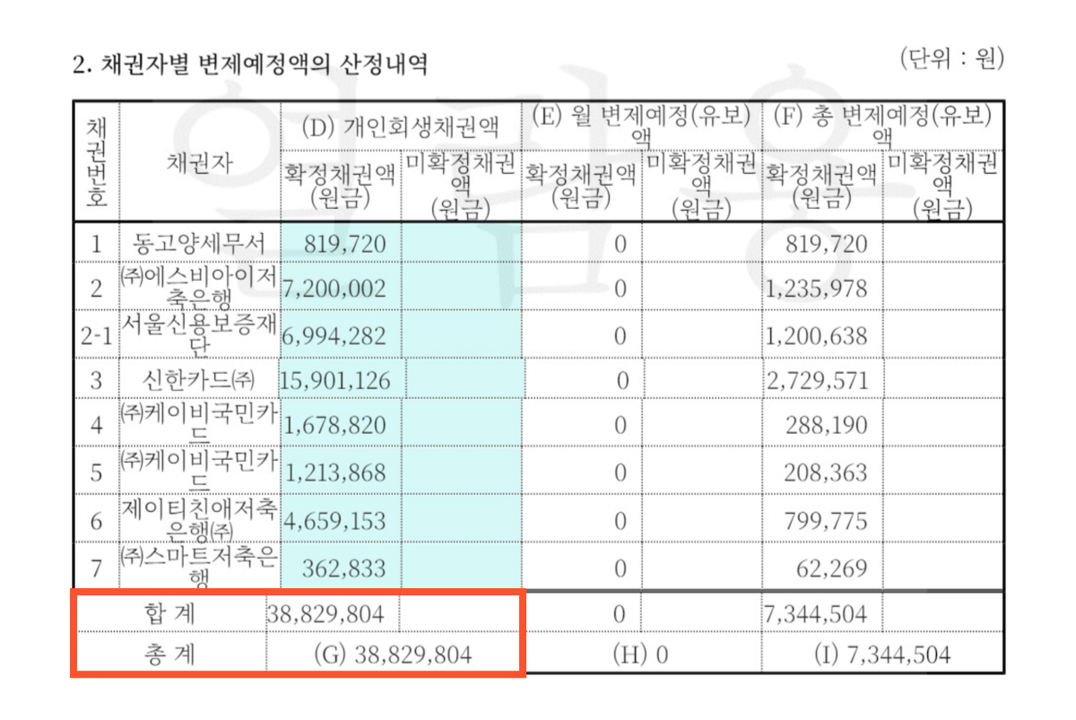 백석동개인회생 부채증명서