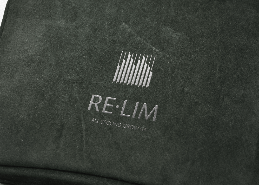 RE:LIM logo identity 3
