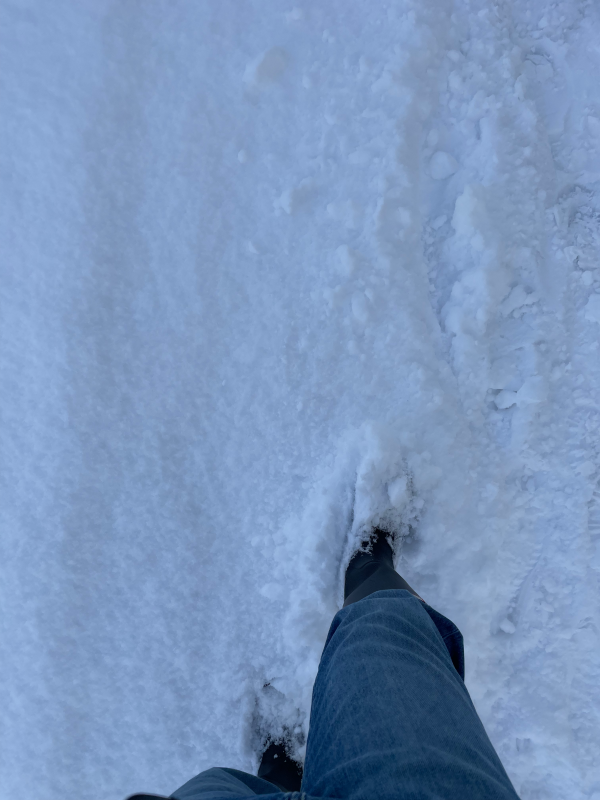 041b8c2bb9497.png