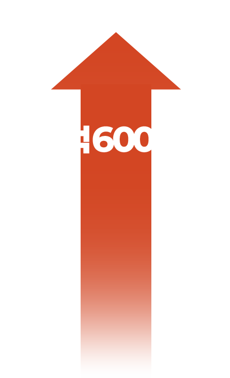 492억 600만원 매출