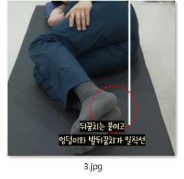 336ba973954c9.png