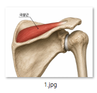 622a9f7e688fa.png