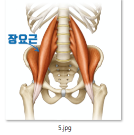 69a4d44fe3f83.png