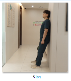 9119194a22244.png