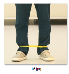b4823dbe91521.png
