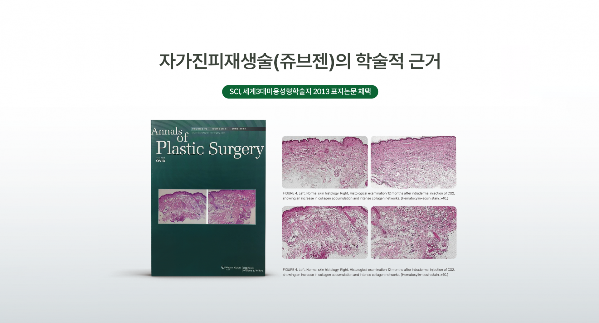 쥬브젠 이미지3