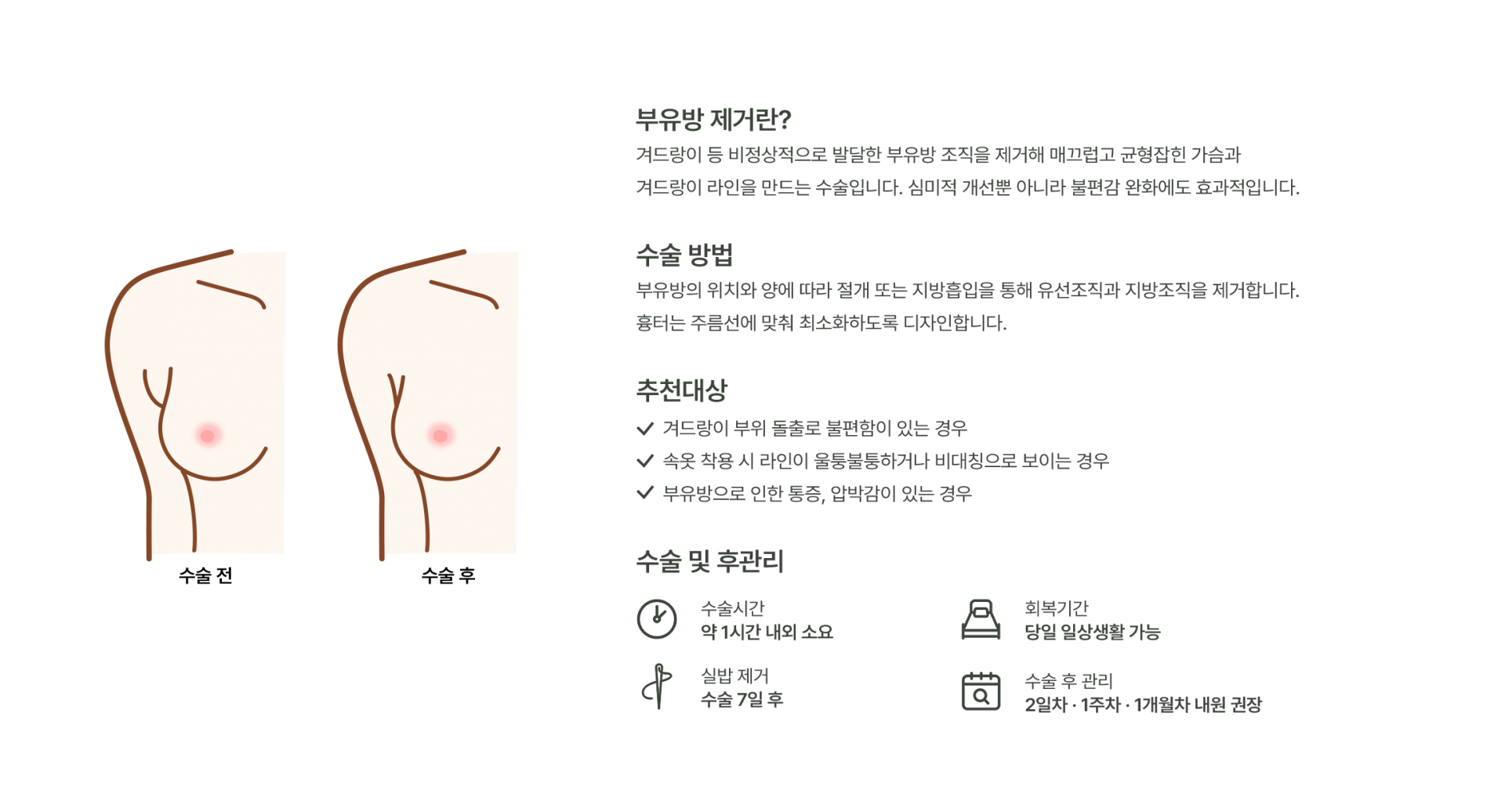 부유방 이미지