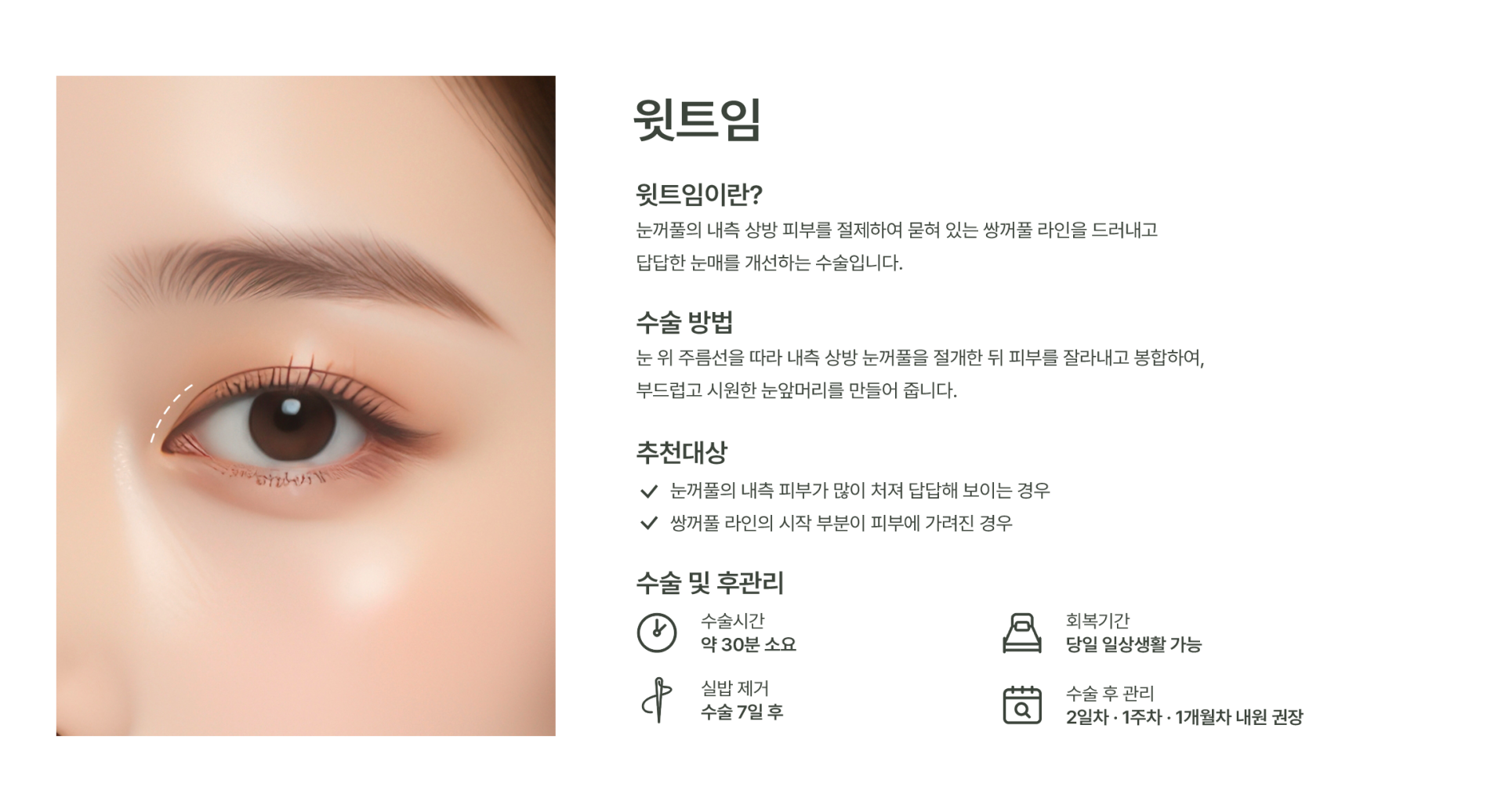윗트임 이미지