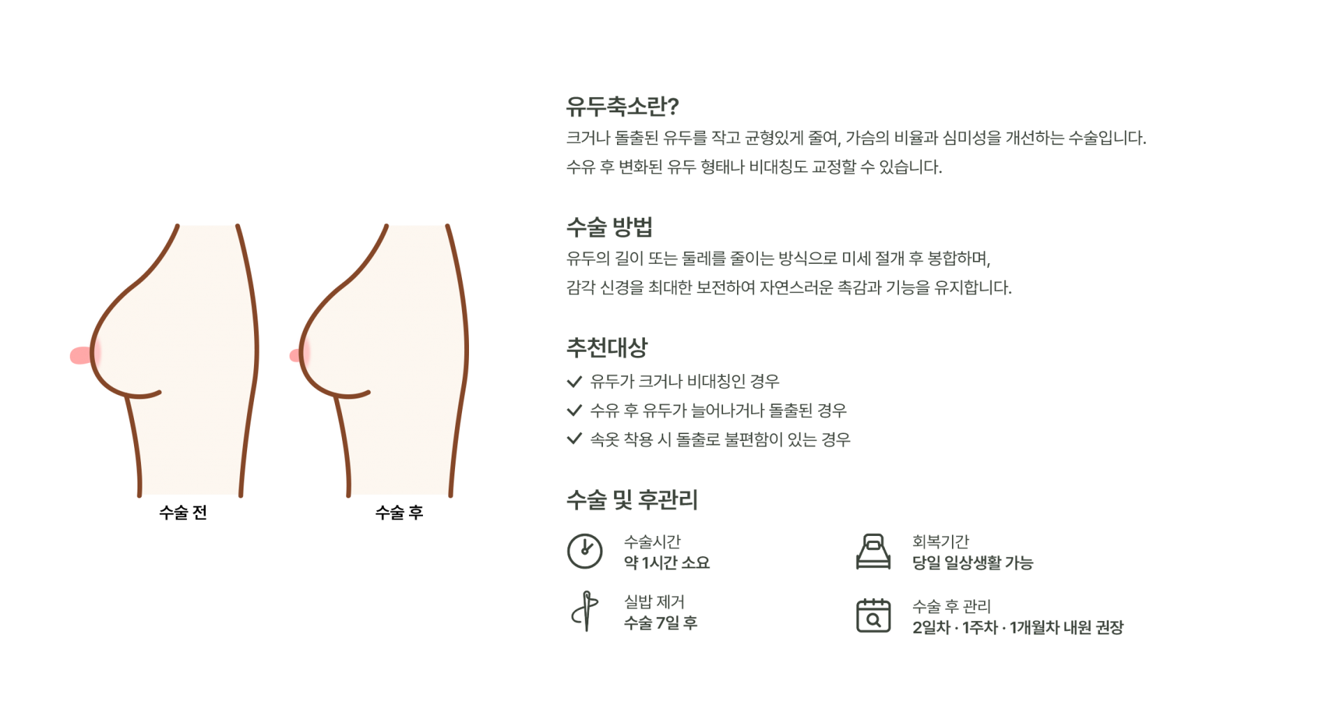 유두축소 이미지