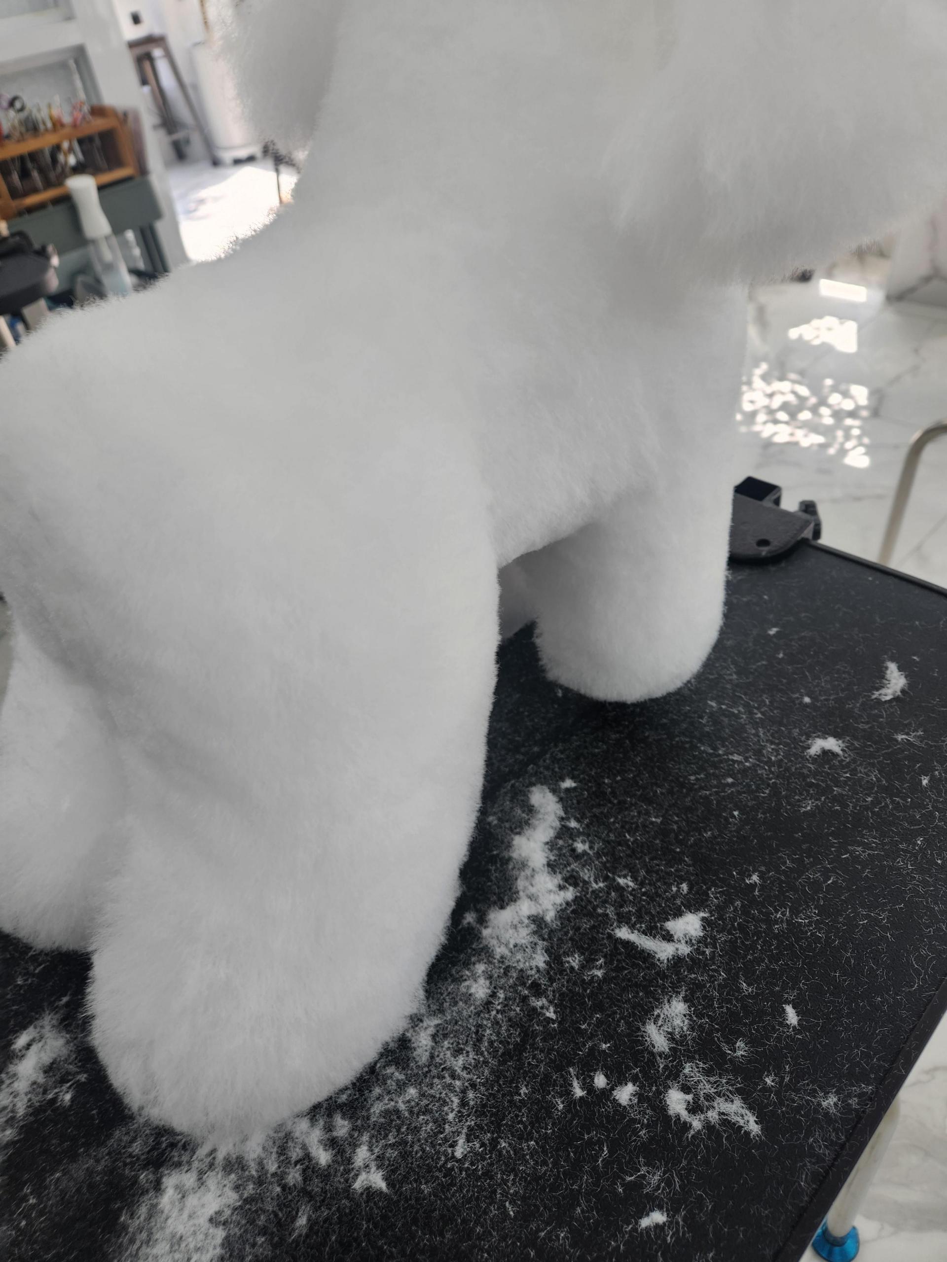 2f87f22720f77.jpg