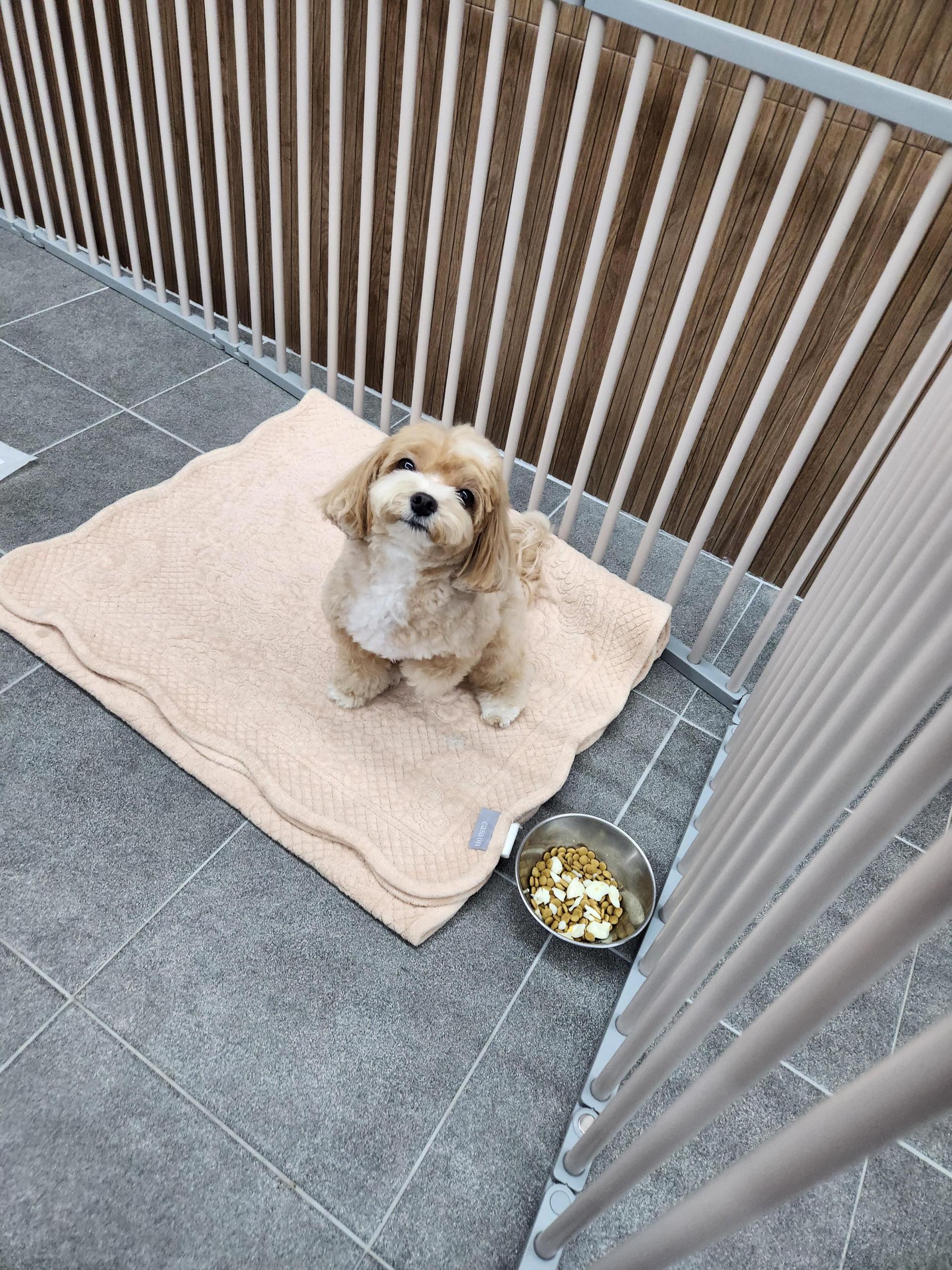 747ddfe91a4d7.jpg