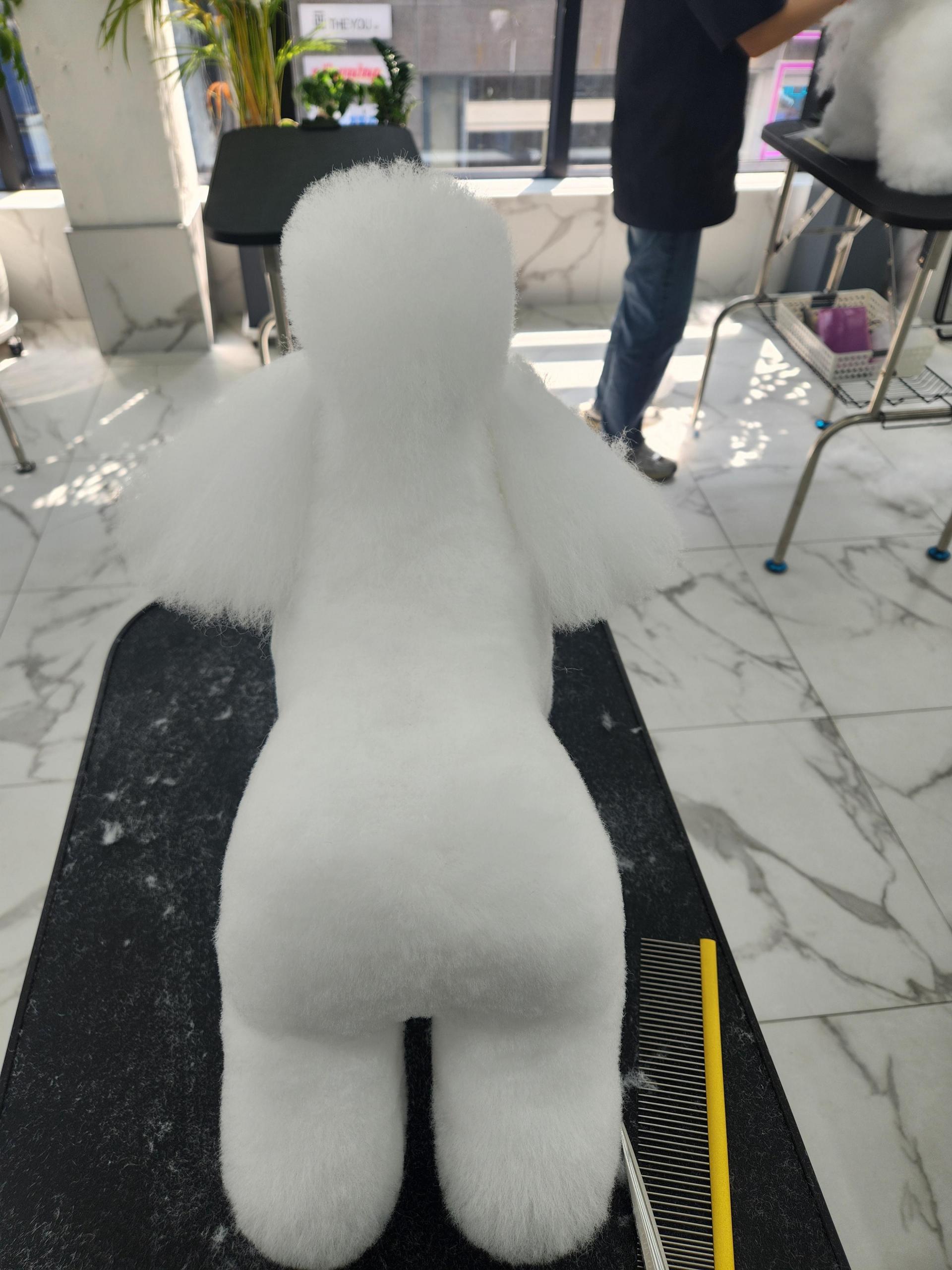 88f21feaf23e8.jpg