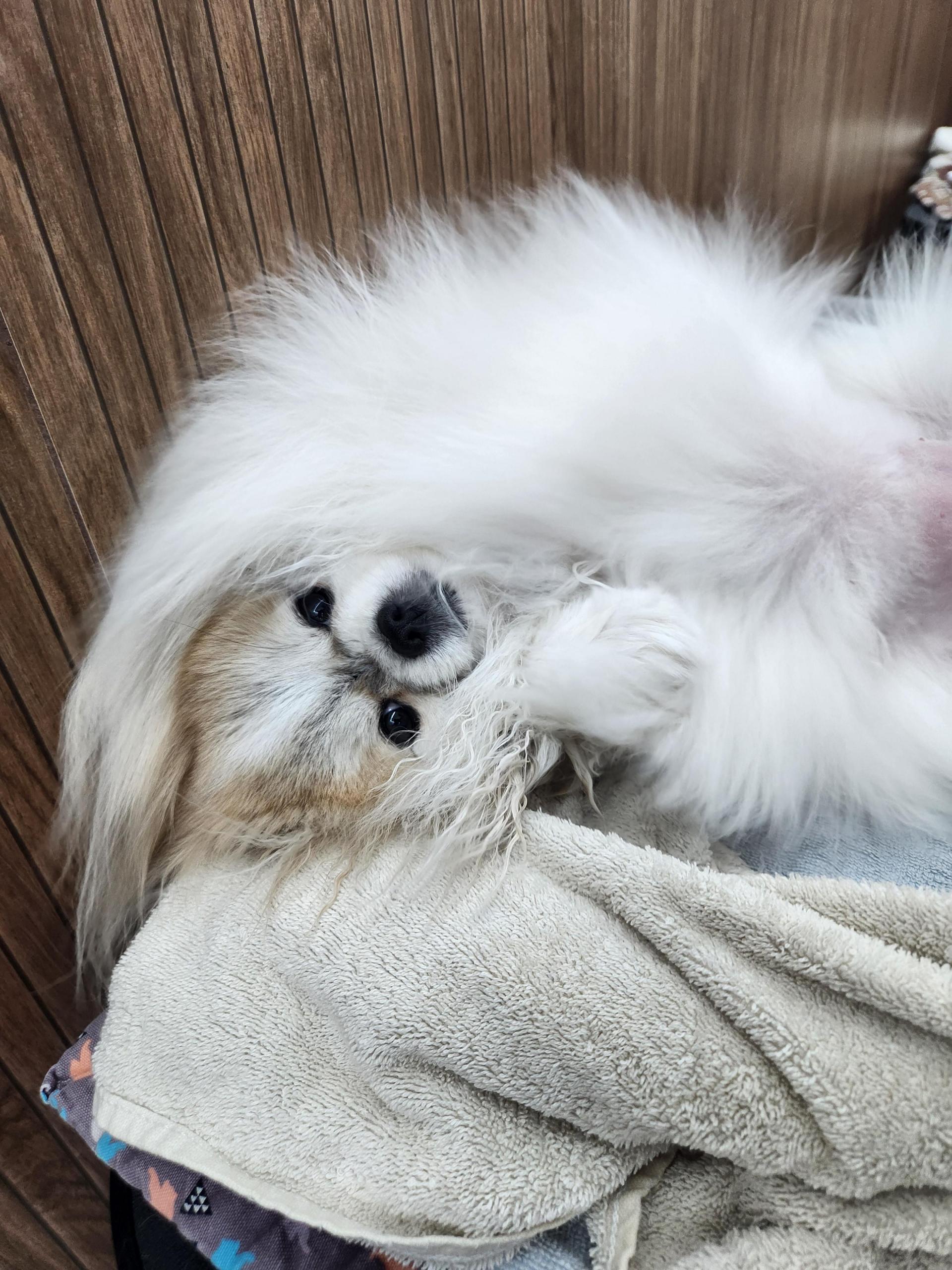 a56c1800d257d.jpg