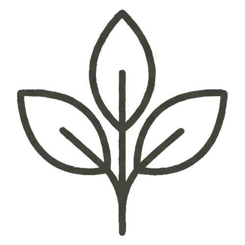 Premium Service Icon