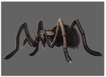 9a8a9e52e61e3.png