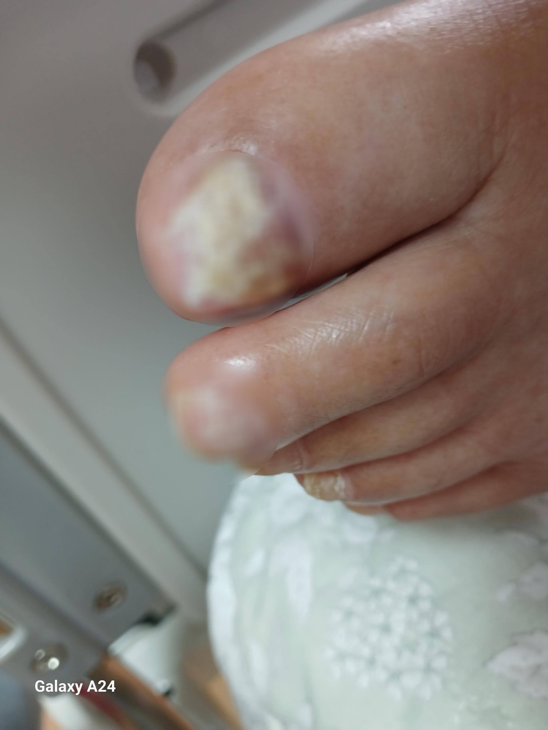 64fa4f5258e14.jpg