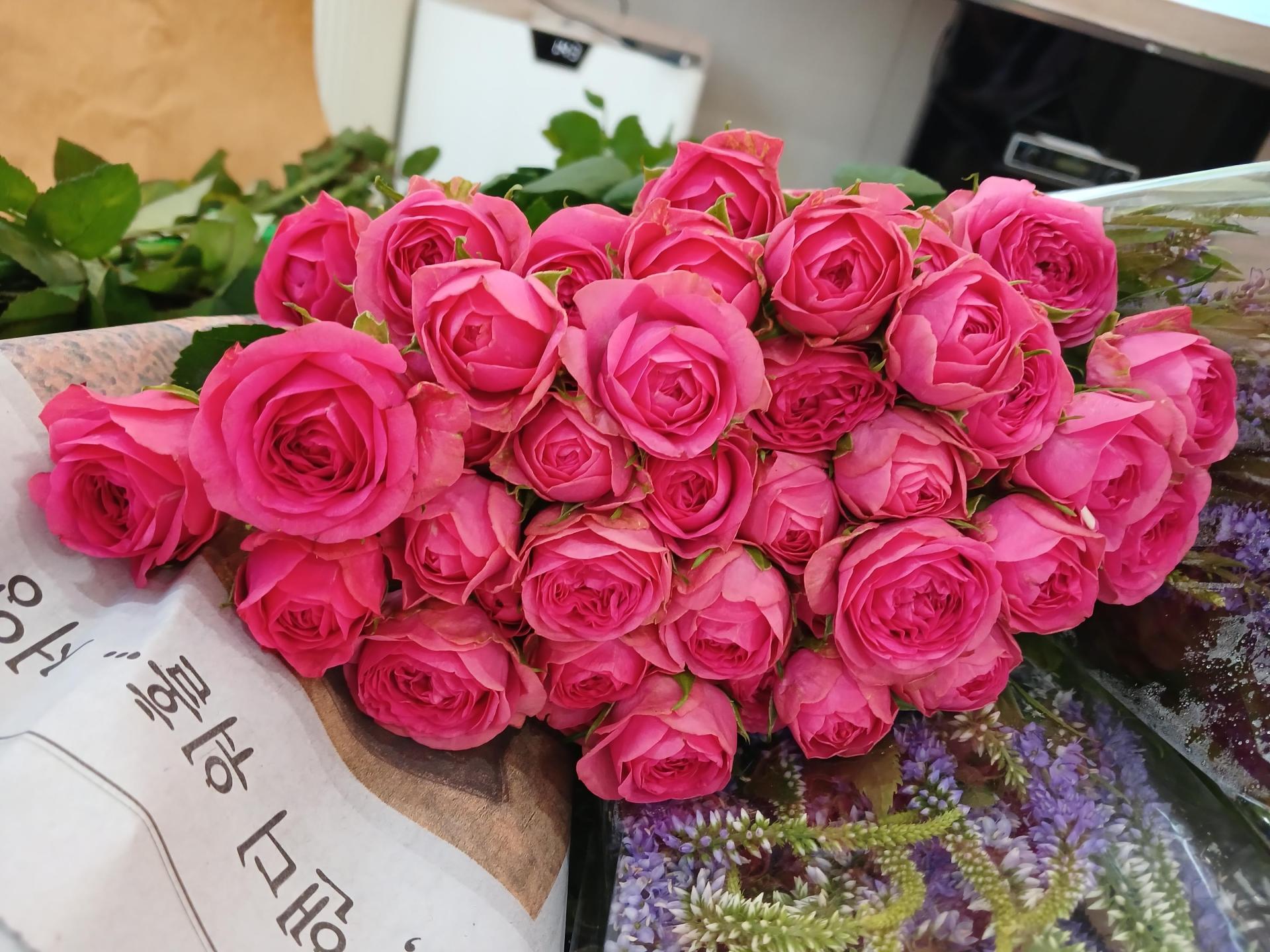 75a6879f07db9.jpg