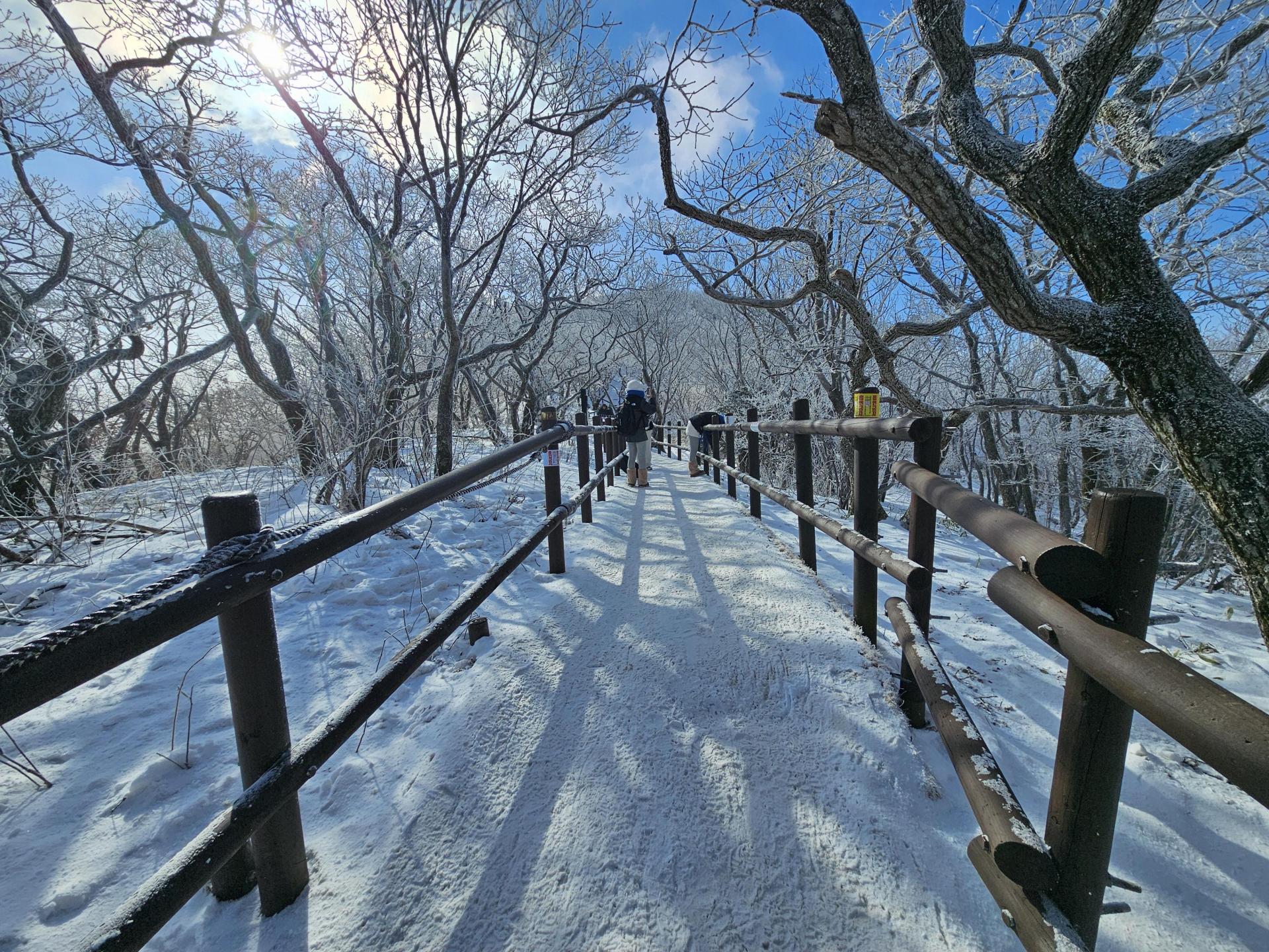 65b3451927e78.jpg