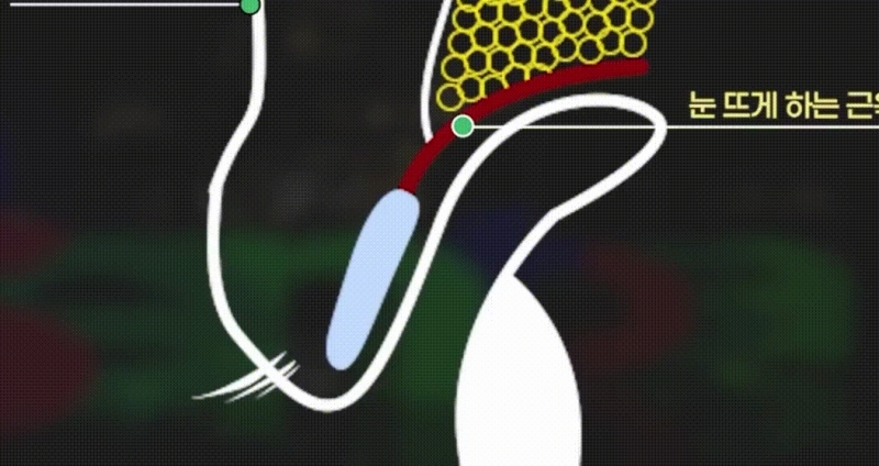 videoframe_2332.png