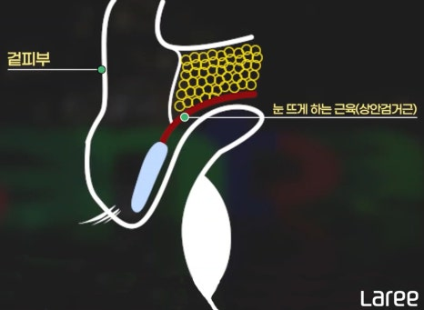 256bb276e6f85.png