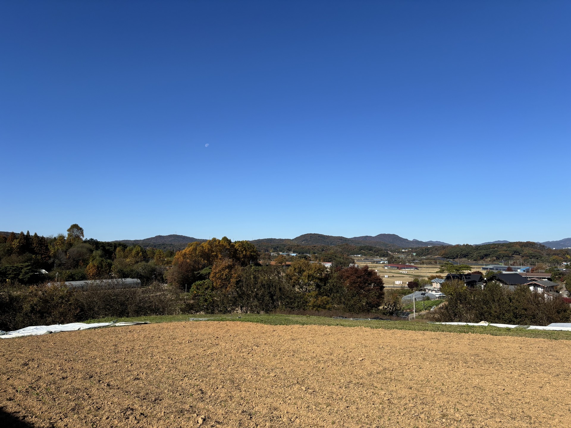 f9144cf708407.jpg