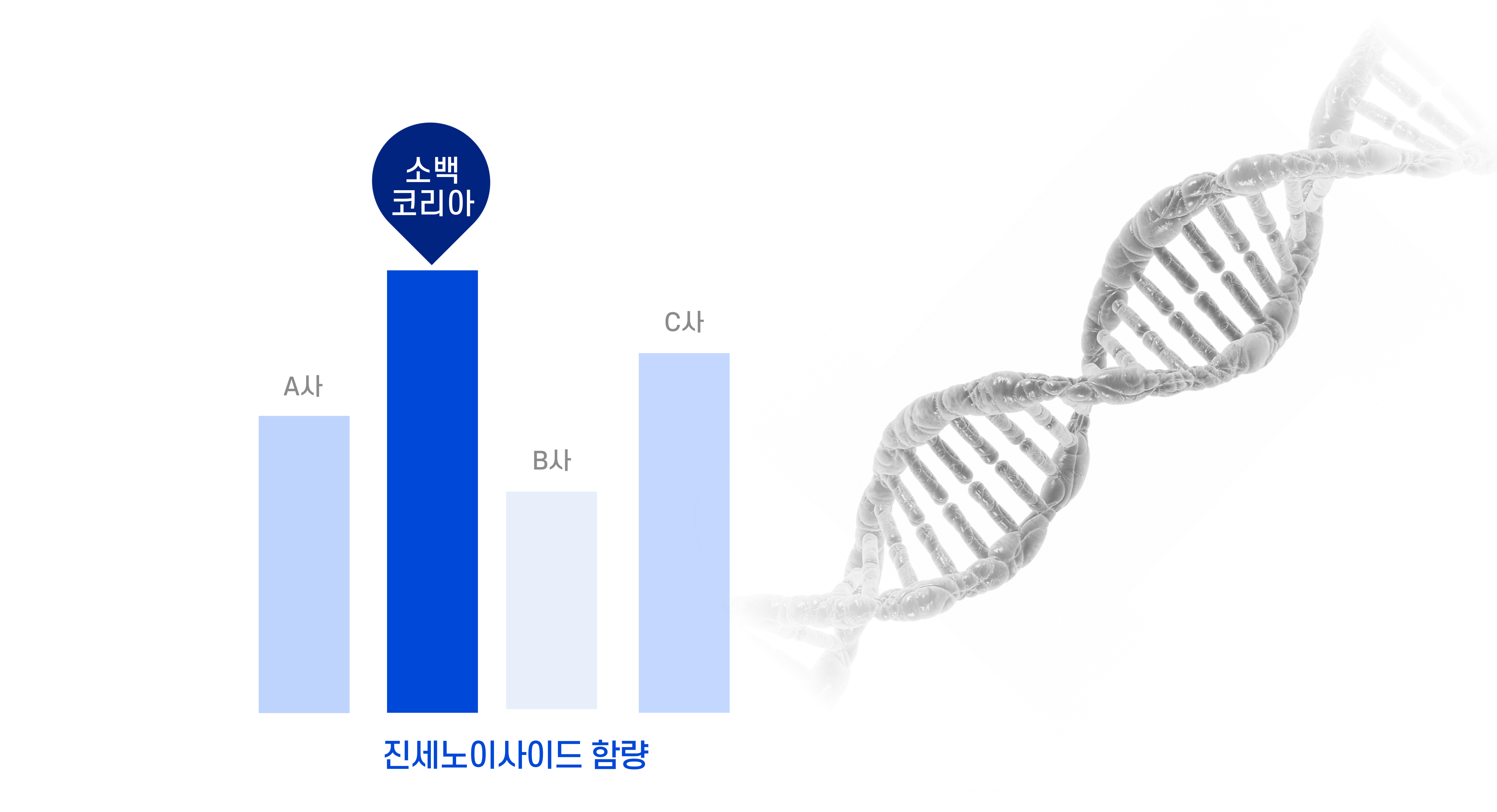 진세노사이드 성분 분석