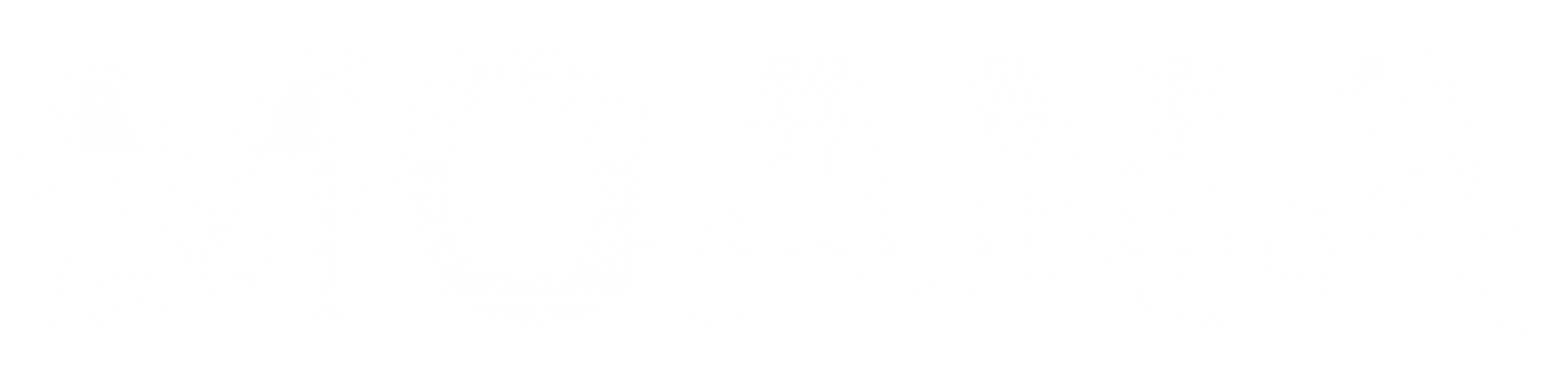 Right Image