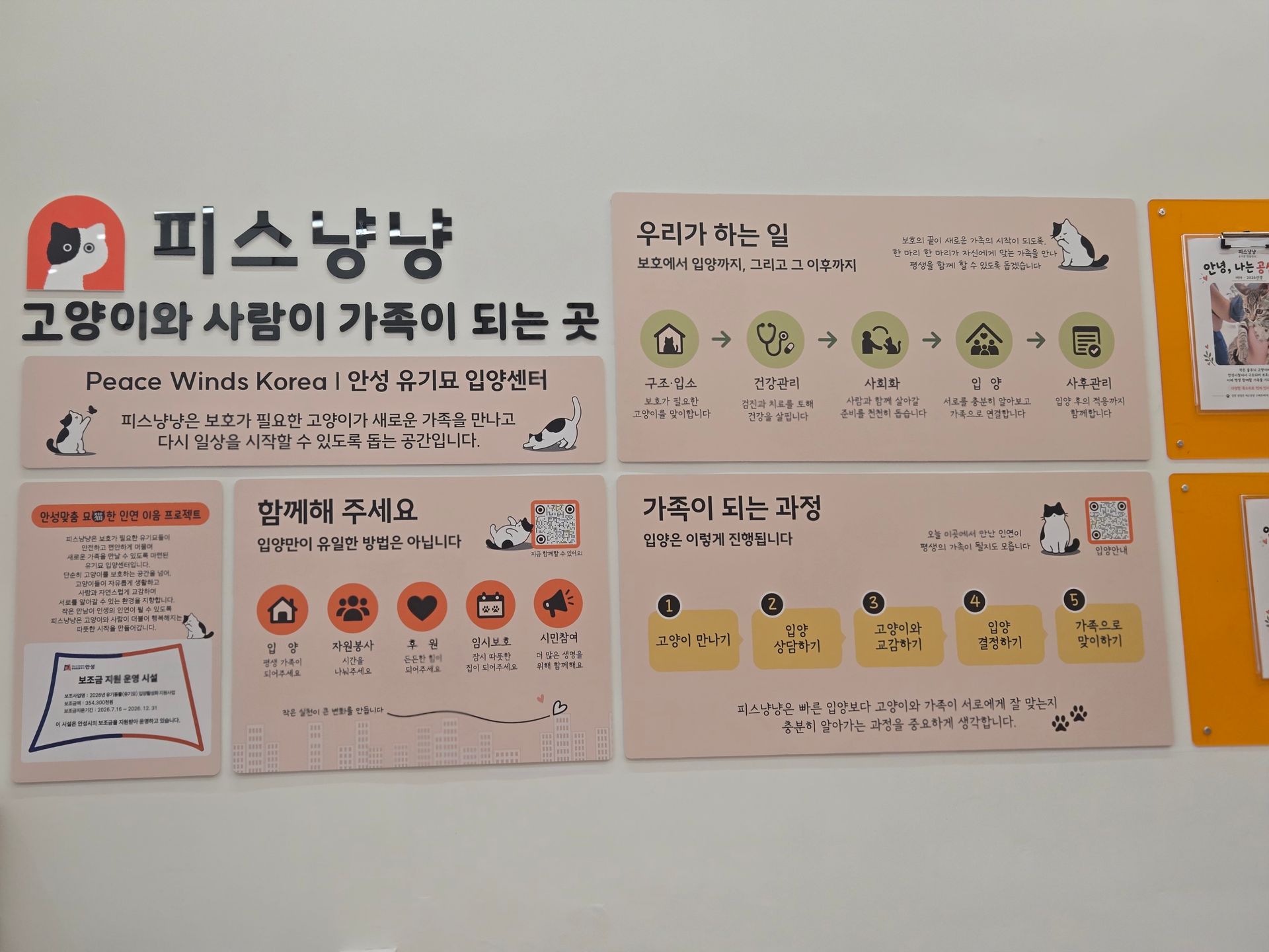 피스냥냥 내부