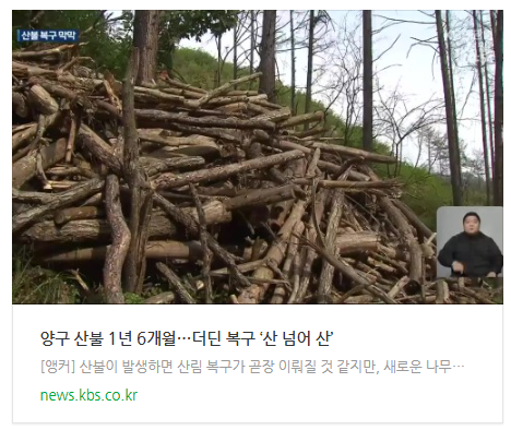 양구.png