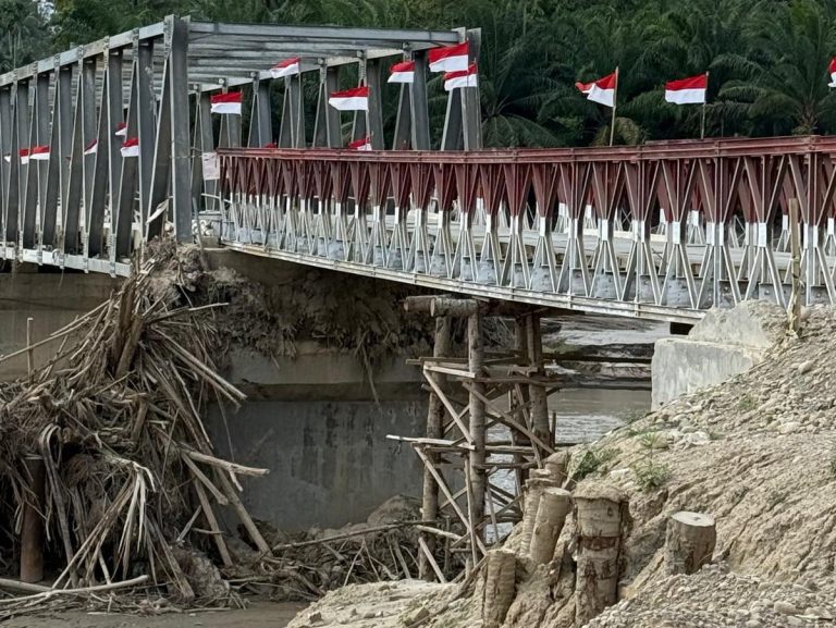 임시로 보강되어 통행이 가능해진 다리