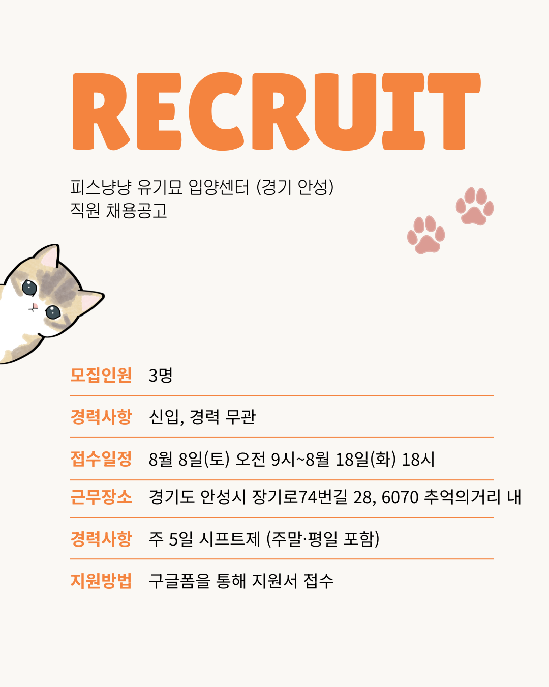 피스냥냥 유기묘 입양센터 직원 채용공고