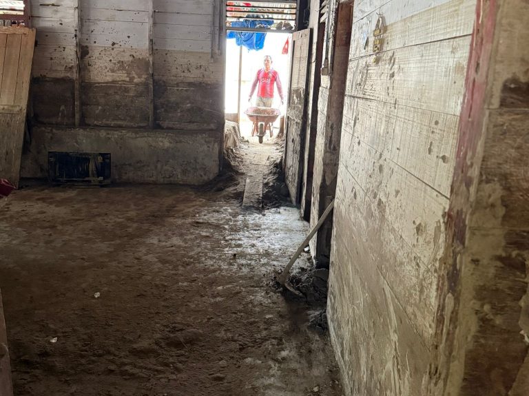 진흙으로 뒤덮인 집을 정리하는 주민