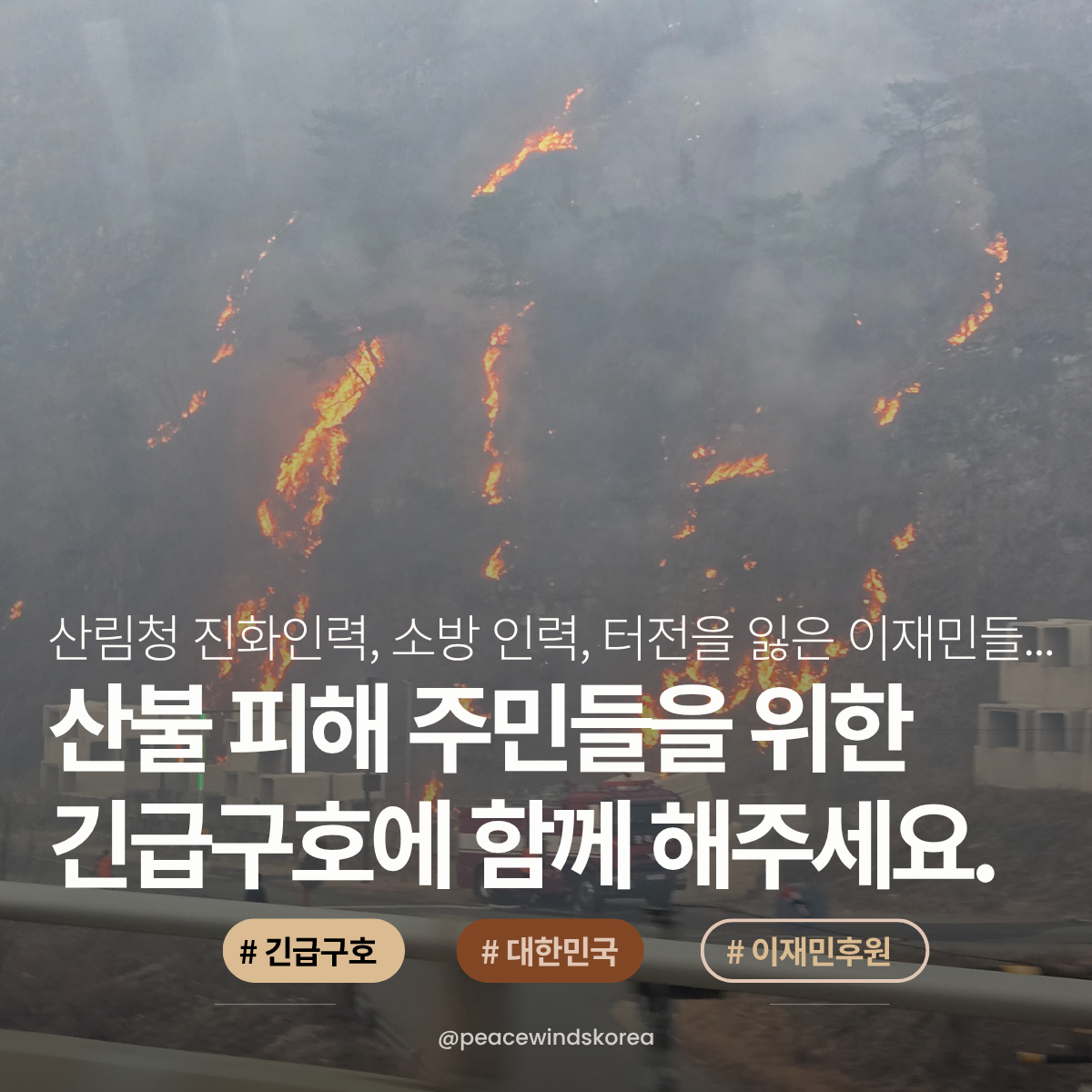 8c779826c3632.png