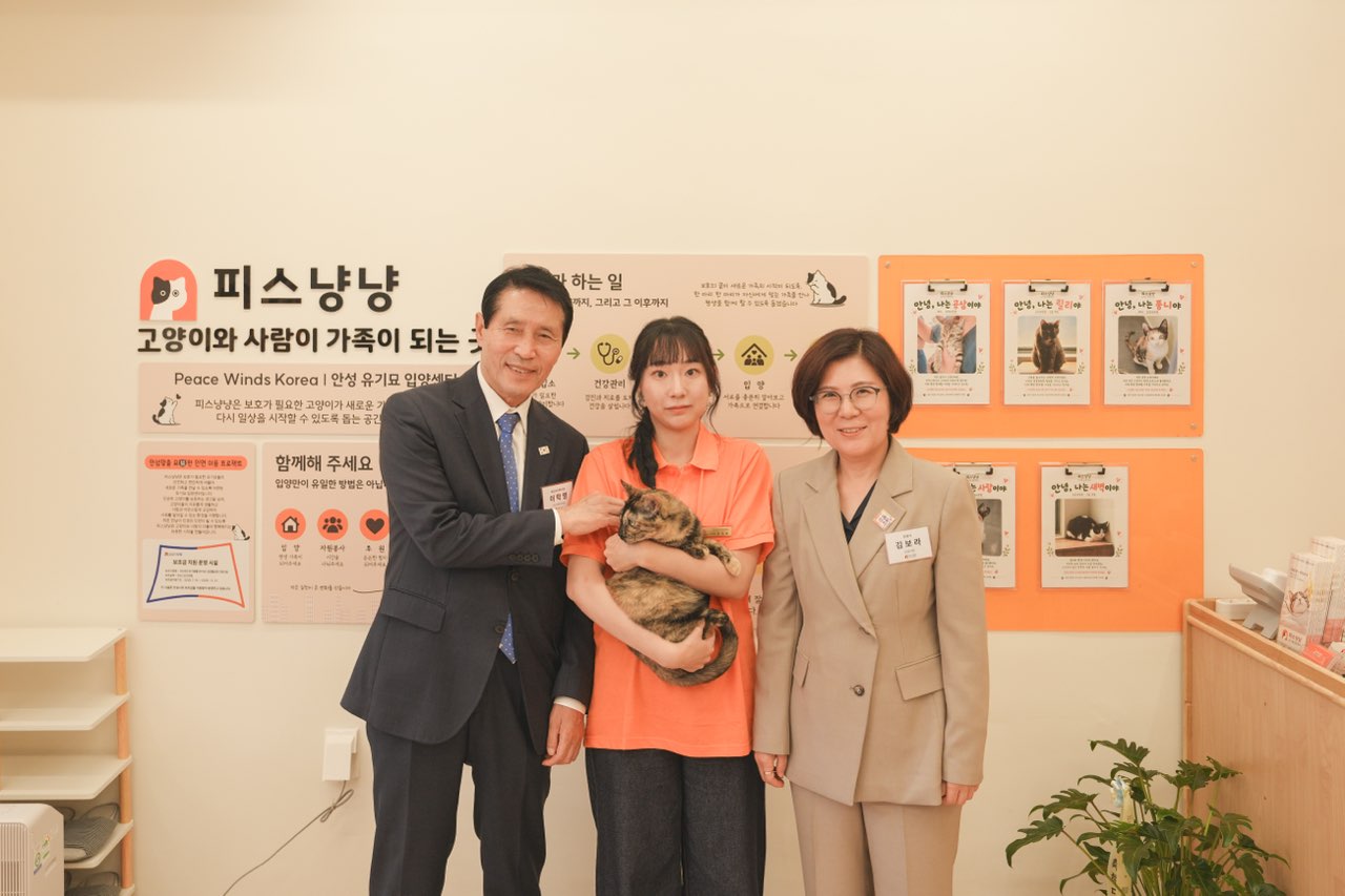 피스냥냥 스태프와 안성시장