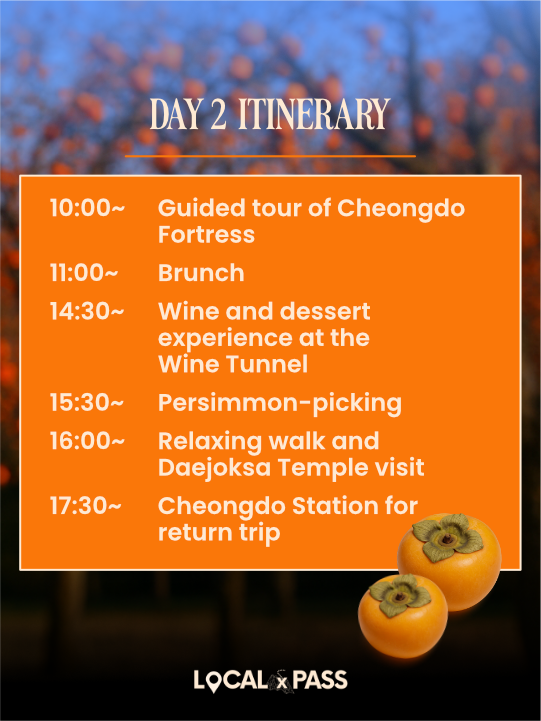 [Early Bird Deal] Cheongdo Autumn Harvest Trip (October, 2026) 복제