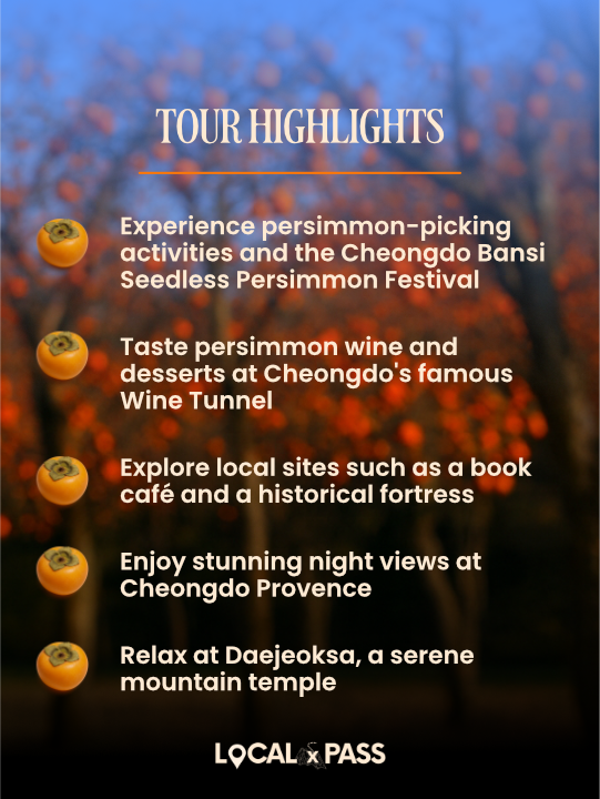 [Early Bird Deal] Cheongdo Autumn Harvest Trip (October, 2026) 복제