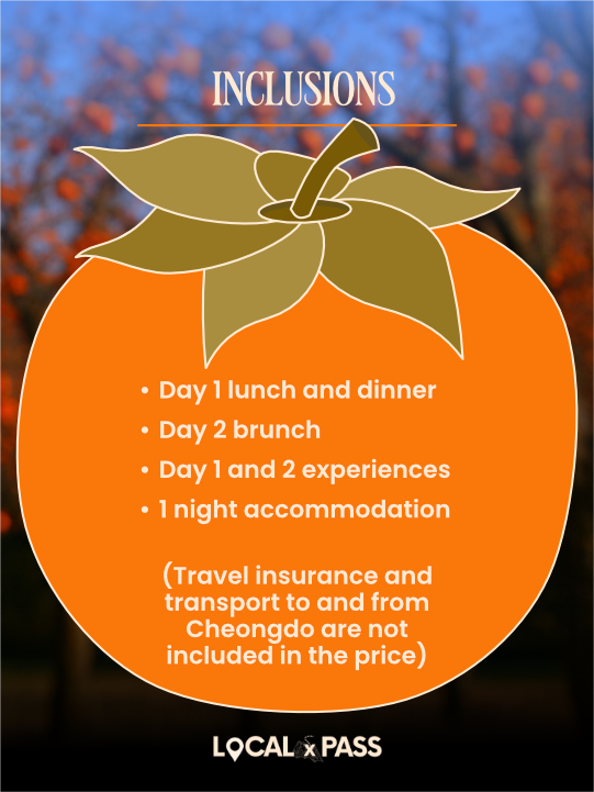 [Early Bird Deal] Cheongdo Autumn Harvest Trip (October, 2026) 복제