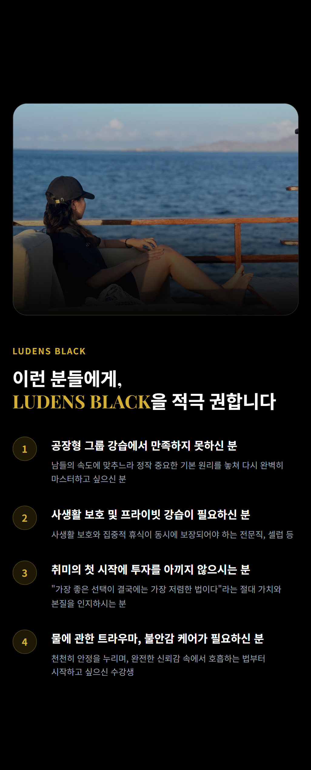 [1:1 프라이빗] Ludens Black 입문과정
