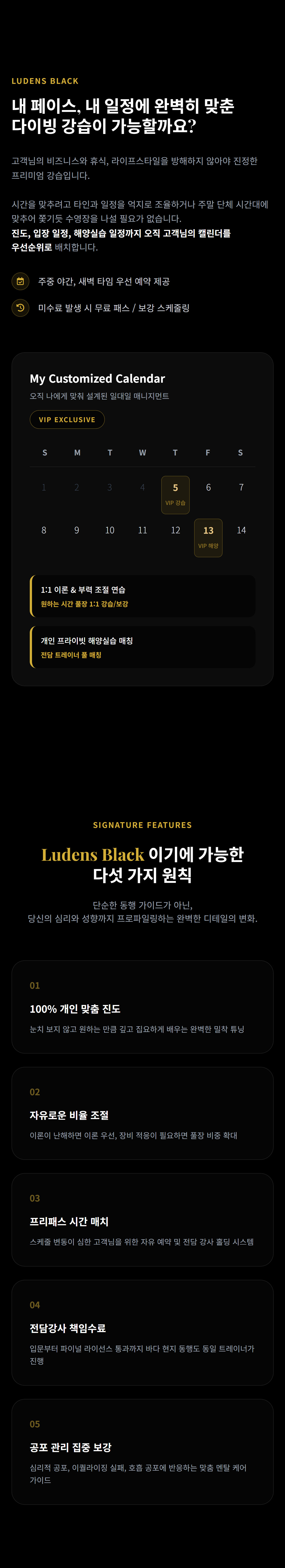 [1:1 프라이빗] Ludens Black 입문과정